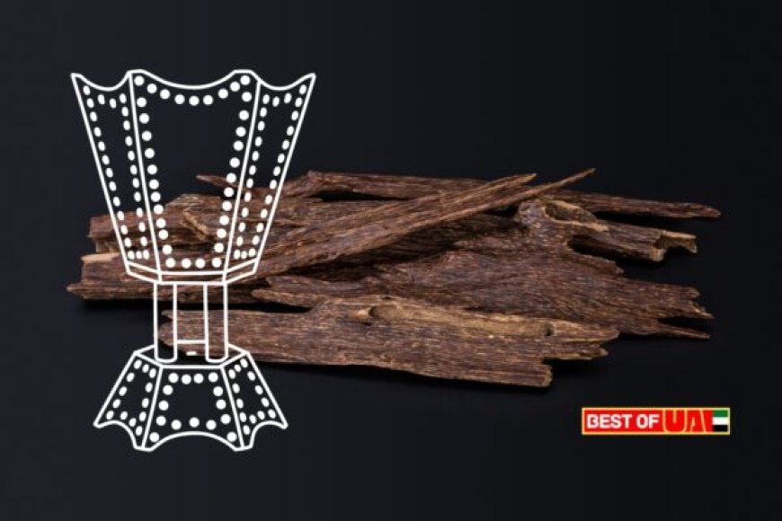 Best Bakhoor in UAE – Top 7 Fragrances for Home & Gifting