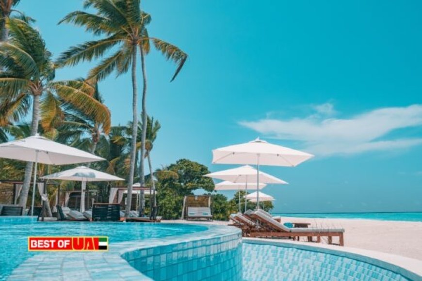 Best Resorts in UAE – Top 10 Luxury & Nature Getaways