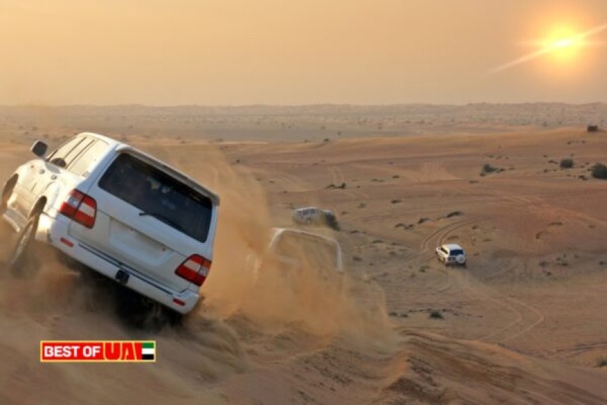 Top 5 Desert Safari Tours in Dubai